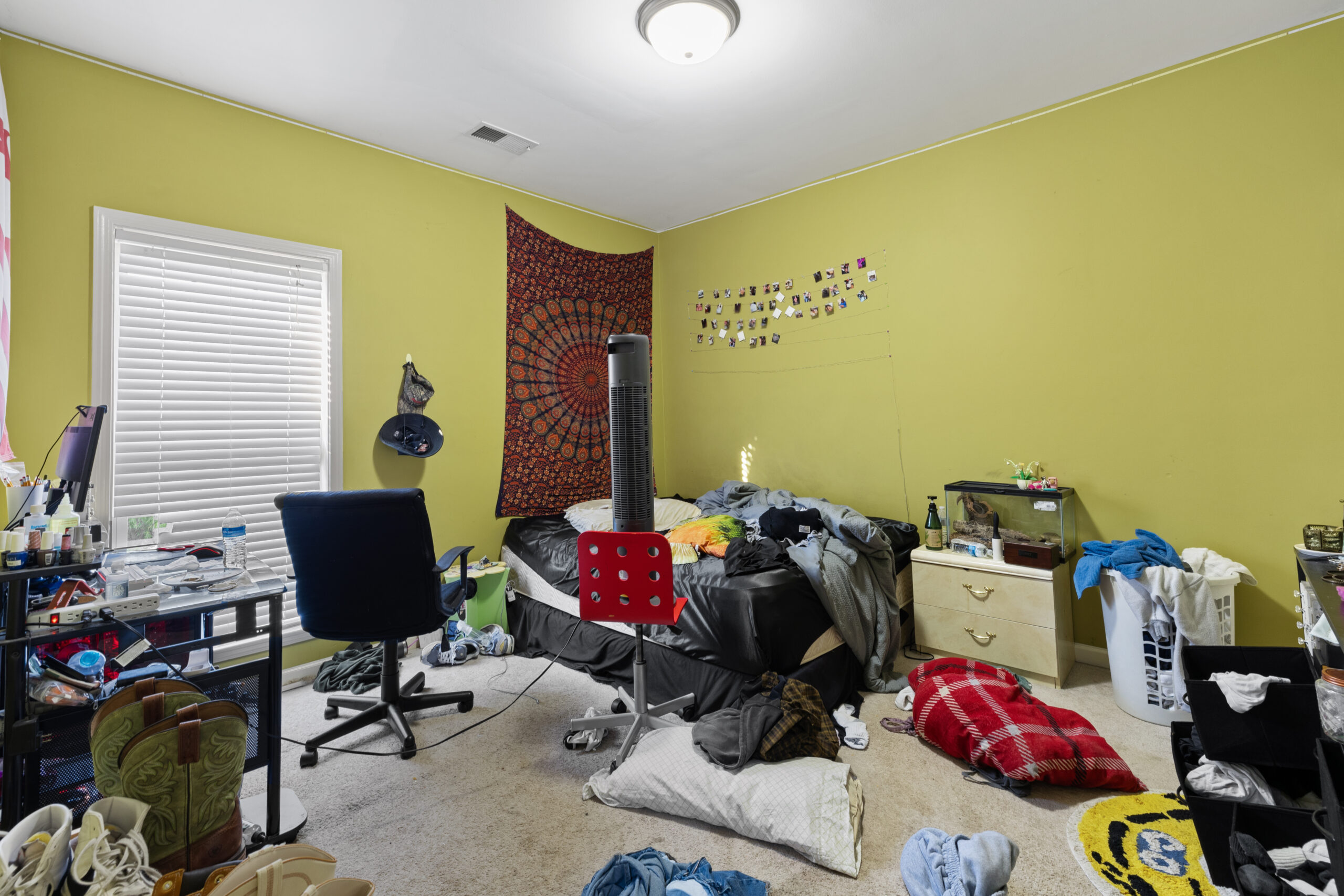 Before Image
